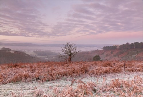 foggy dartmoornationalpark scoopsimageslife moors frosty moodysky landscape pastelsunrise weather twogiantscoops leefilters mistymorning lonetree devon moodypinks autumncolours countryside nationaltrust autumnal frostpocket pastel nature fog mist circularpolariser path photoshop frostscape sun treescape moorlands canon drewsteignton allseasons scoops misty chrismarshall’simages 1635mmf4 countryfile ferns moorland lonelytree pasteltones firstlight photographersquest iplymouth autumn ndfilter extremeweather 5d3 cpfilter chasingthelight inversion moody atmospheric sunrise castledrogo manfrotto dartmoor snow frost lee leefoundationkit softgrad autumness landscapephotography intervalometer dawn