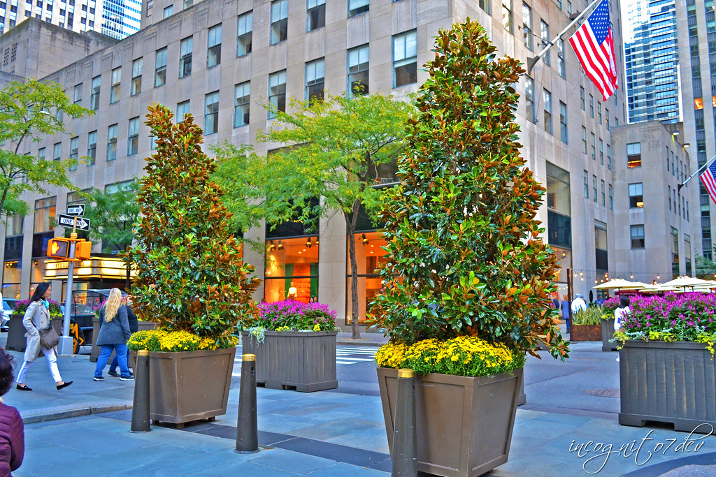 Beautiful Rockefeller Plaza Arrangements Rockefeller Center Midtown Manhattan New York City NY P00828 DSC_9605