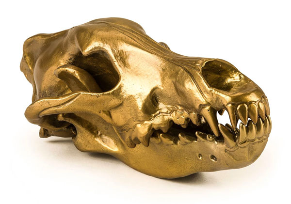 2_yoox-diesel-living-with-seletti-wolf-skull-gold