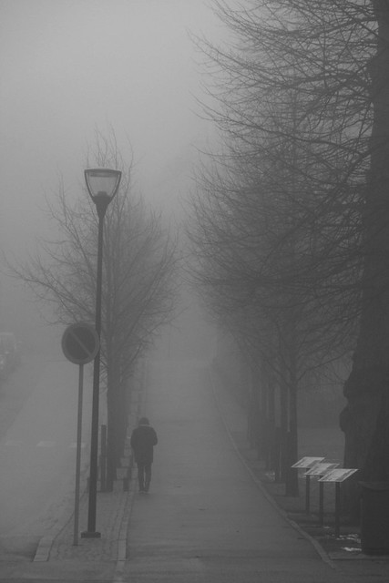 Alone in the fog