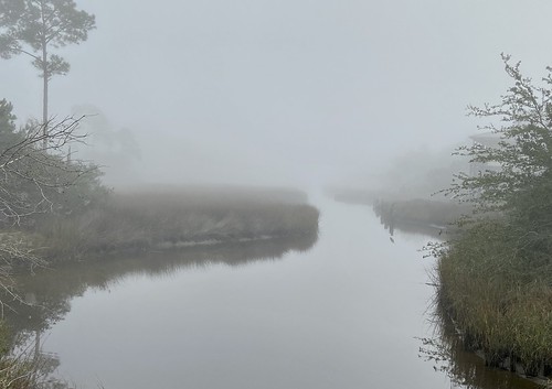 gulf water wife fog weather winterinmississippi mississippi walking landscape love