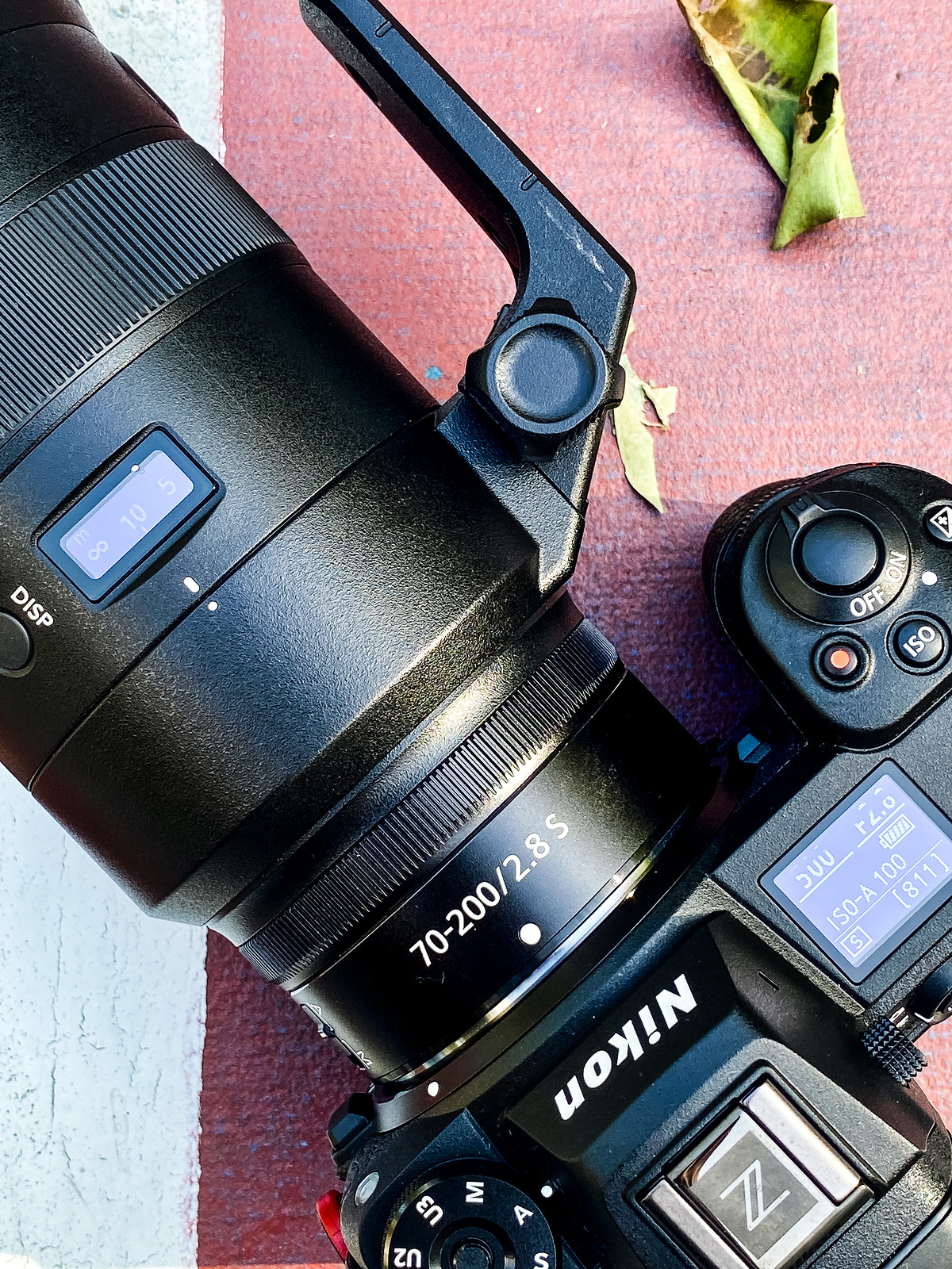 Nikon Z6 II Review  A Great Camera, Perfected?