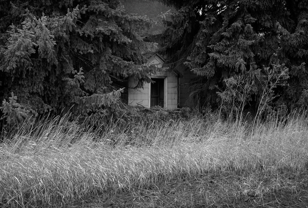 Abandoned Farmhouse, Eastern Washington