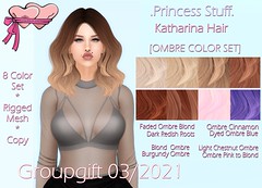 .PrincessStuff. Katharina Hair [Groupgift 03/2021]!