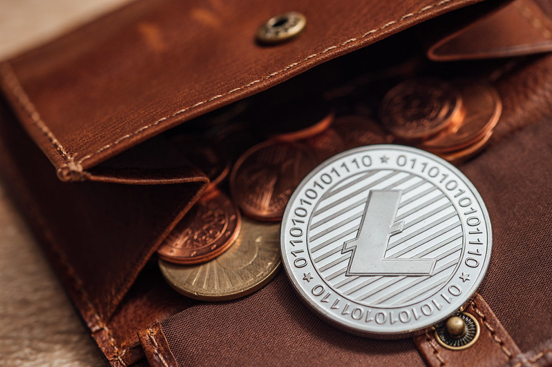 Close-up of a physical coin of Litecoin crypto currency in a wallet full of FIAT money coins