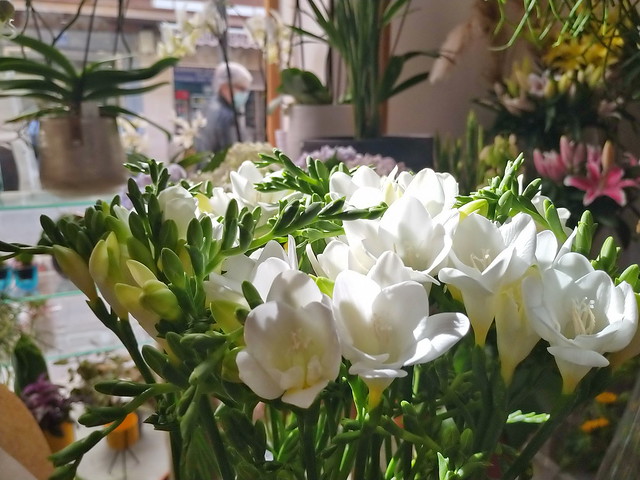 Yo, como Mrs Dalloway, fui a la floristeria esta mañana y compré las flores para la fiesta.