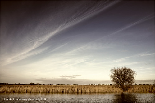 rhfo2o canon canoneosr martham marthamboatyard riverthurne norfolk norfolkbroads river tree reeds sky clouds sunset