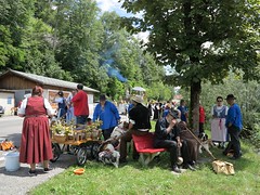 2019 Jodlerfest - Festival de yodel - Brienz 2019