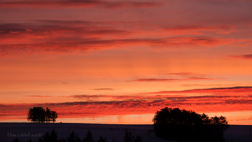 elisafox22 sony rx10m3 sos smileonsaturday clouds dawn red morning trees howeoftheythan aberdeenshire scotland elisaliddell©2021 silhouette predawn