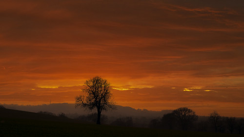 countryside tree nottinghamshire skyreplacement rural silhouette oxton sunrise dawn morning nature sky clouds orange farming outside landscape england uk trees woodland
