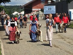 2018 Jodlerfest - Festival de yodel - Wangen a.A.