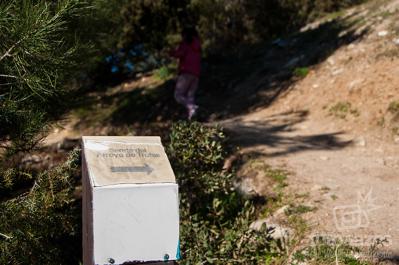 Ruta del Arroyo de Trofas y el Embalse de los Peñascales en Torrelodones