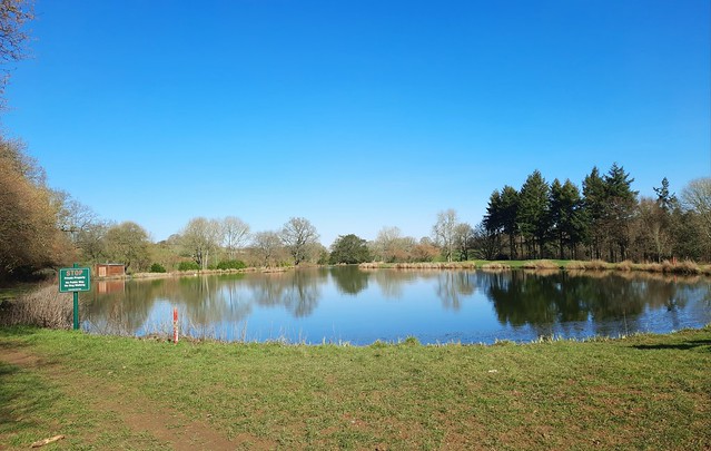 Pond by Burntash Farm, Sheet, Hampshire