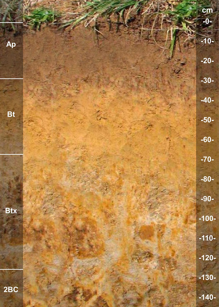 Zanesville soil series
