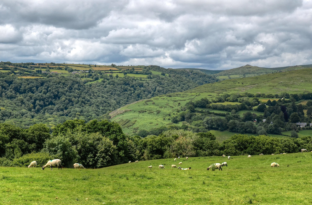 The Dart Valley near Dartmeet, Dartmoor
