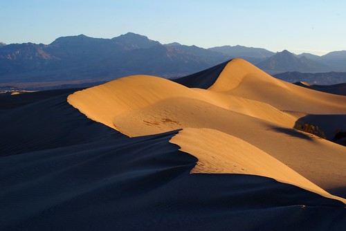 Dune Ridge