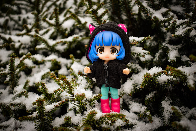 Bluebelle seeing snow for the first time :)