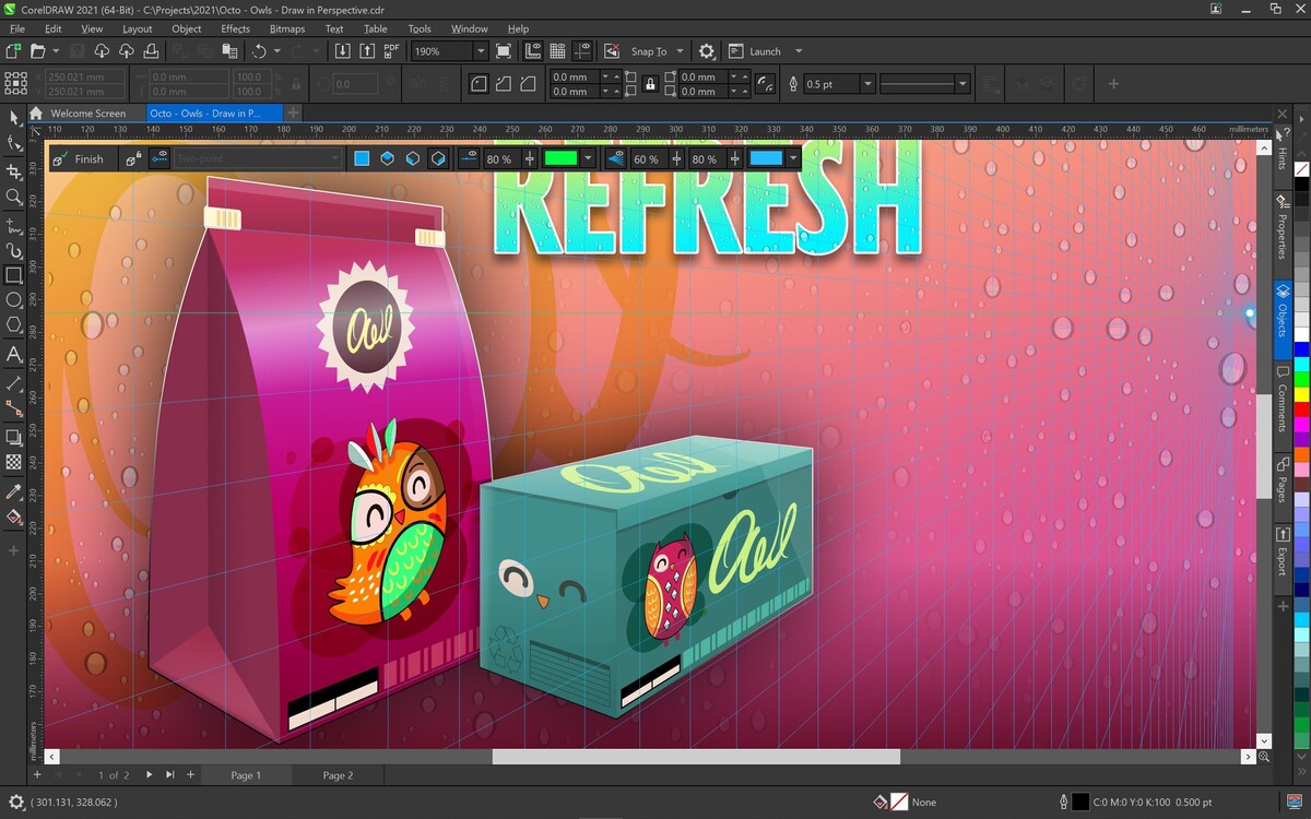 Working with CorelDRAW Graphics Suite 2021 full