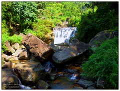 Waterfall- Kandy Srilanka