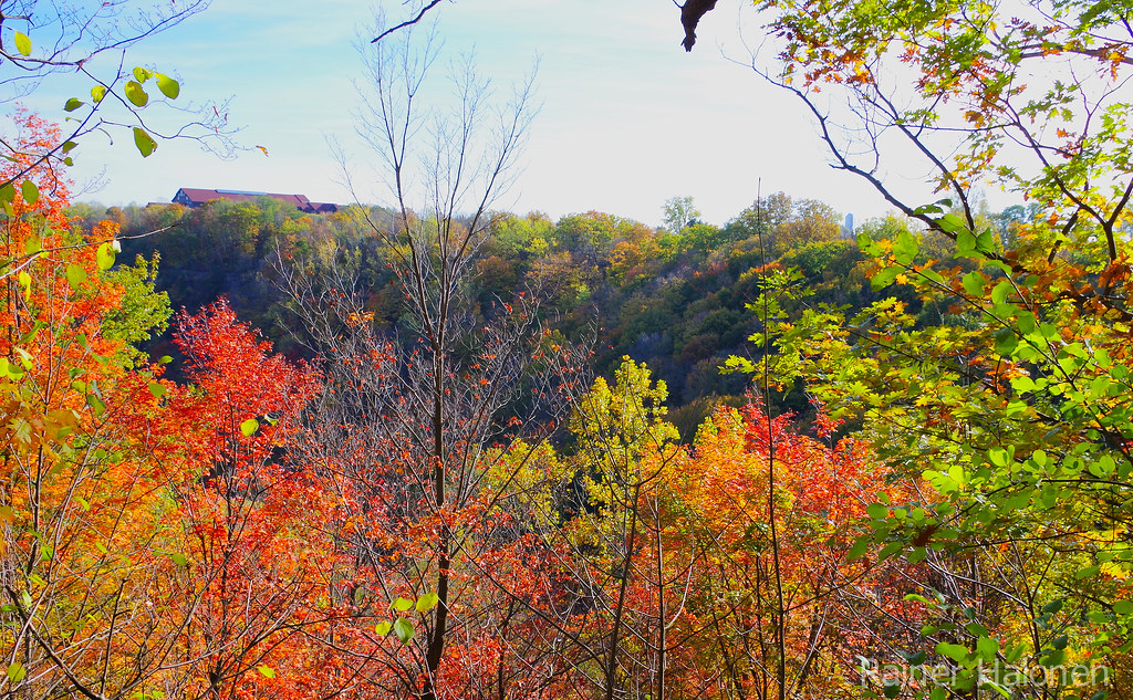 Fall Colours - Niagara River