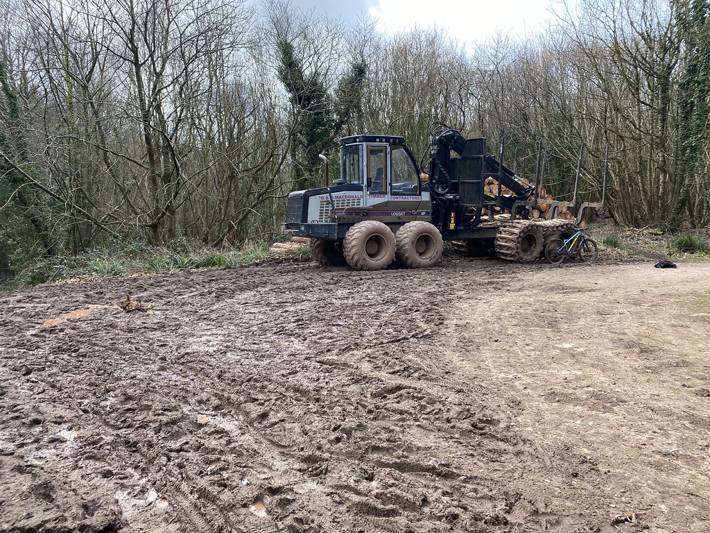 Forestry work = mud