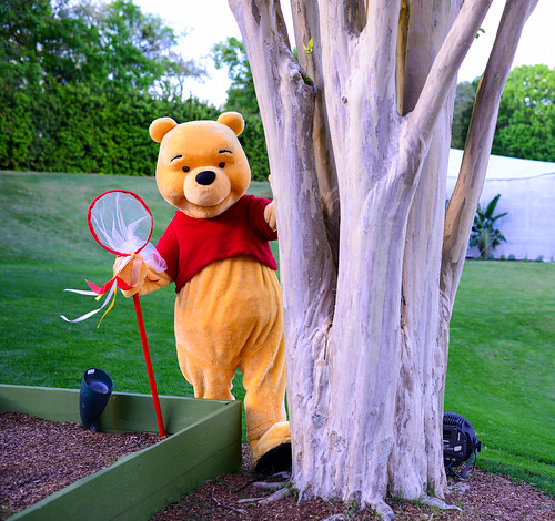 Winnie the Pooh butterfly hunter Epcot | by gamecrew7