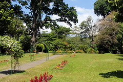 Kandy Botanical Gardens