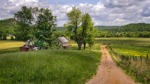 far farmhouse landscape bobbell green road countryroad kentucky laruecounty ginseng leica