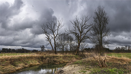 germany bavaria schmuttertal landscape trees creek schmutter sky clouds water