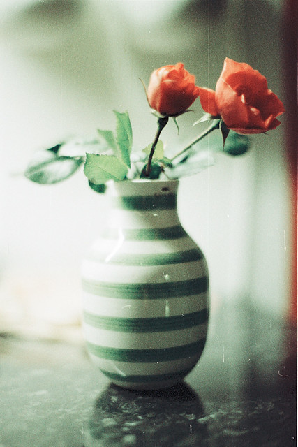 Roses.