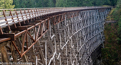 Kinsol Trestle Bridge