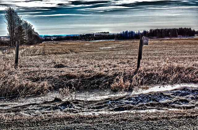Untitled_HDR-2