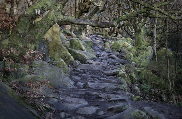 Padley Gorge Path