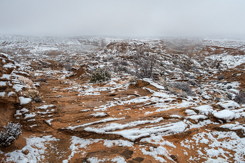 Horseshoe Canyon Trail