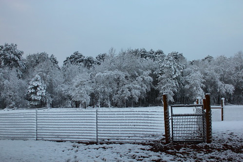 texas tx snow landscape trees fence