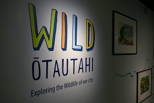 Wild Ōtautahi, Exploring the wildlife of our city