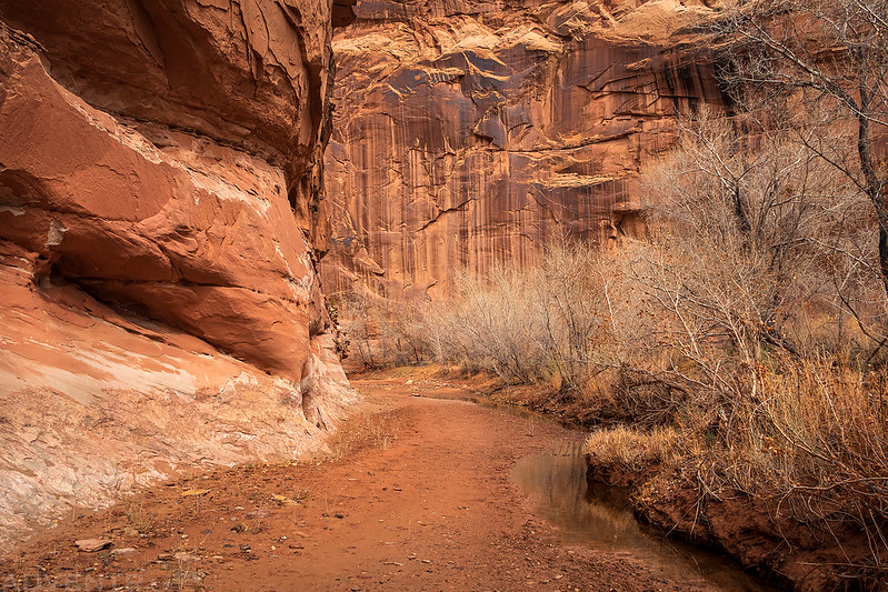 A Canyon Walk
