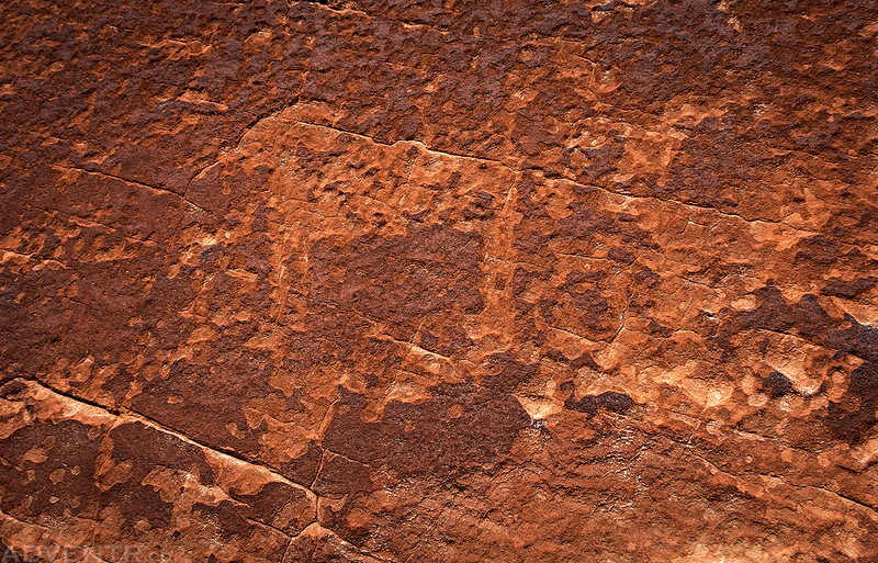 Sheep Petroglyph