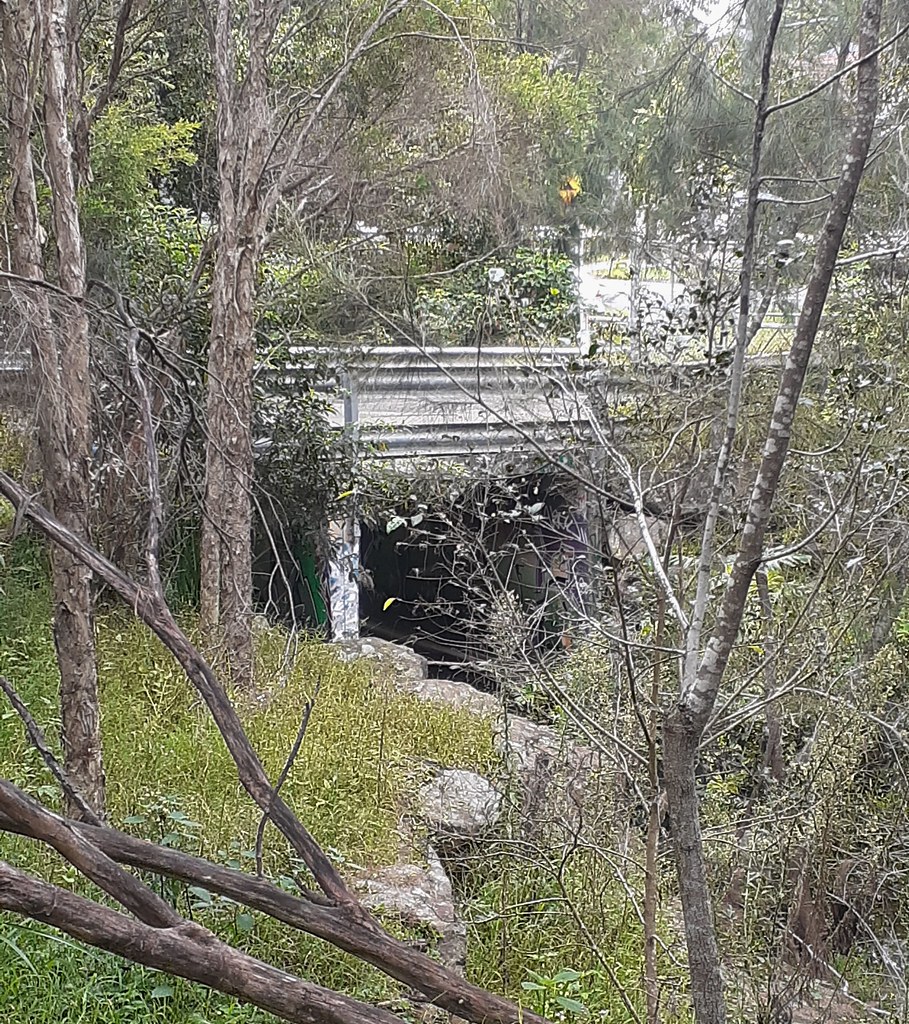 Abandoned bridge, Balgowlah NSW