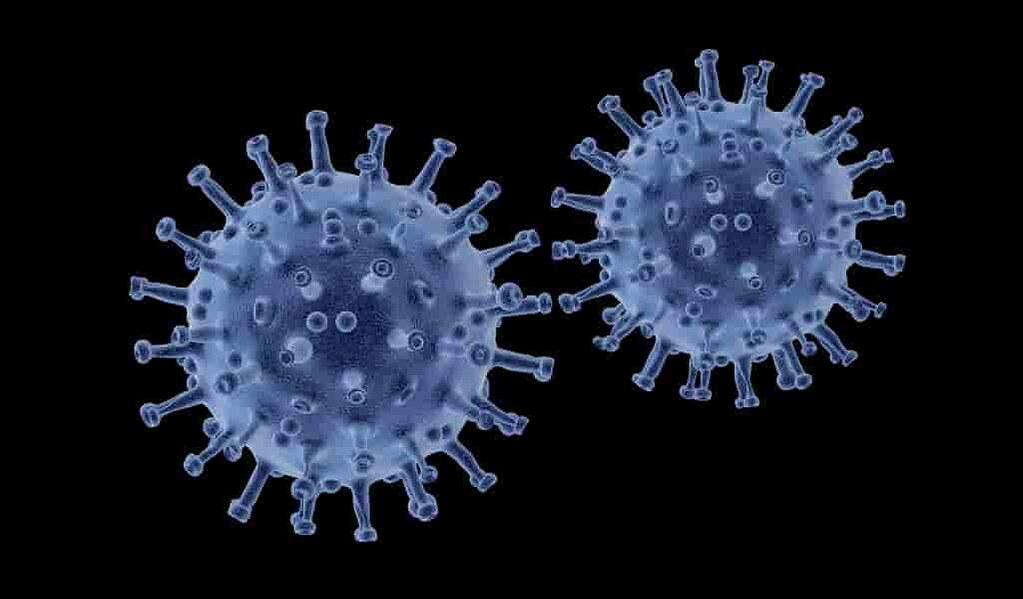 des-coronavirus-issus-de-vraients-fusionnés-se-propagent