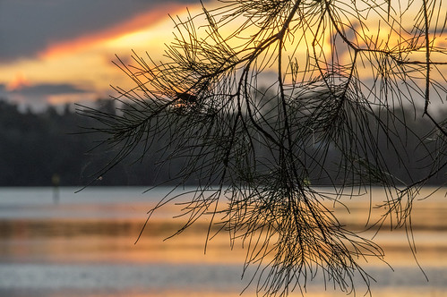 pentax k3 hdpentaxda55300mmf4563plmwrre sunset dusk silhouettes reflections lake clouds sheoak broadwater myalllakesnp nswlowernorthcoast australia