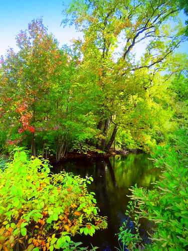 newyork brooklyn dmitriyfomenko image sky nassaucounty nassaucountymuseumofart autumn fall foliage pond reflections trees