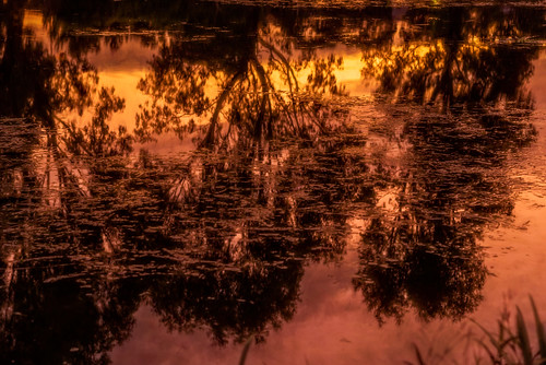 aitkencreek craigieburn lake reflections sunset shadows trees artyfarty x100flickr2021 colour orange