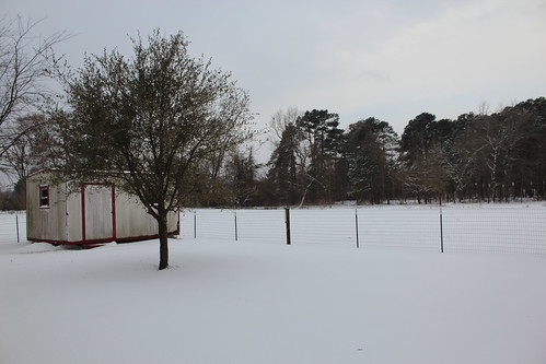 tx texas snow pasture fence