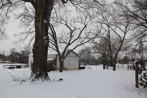 tx texas snow yard outbuilding