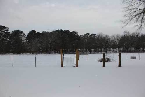 tx texas snow pasture fence