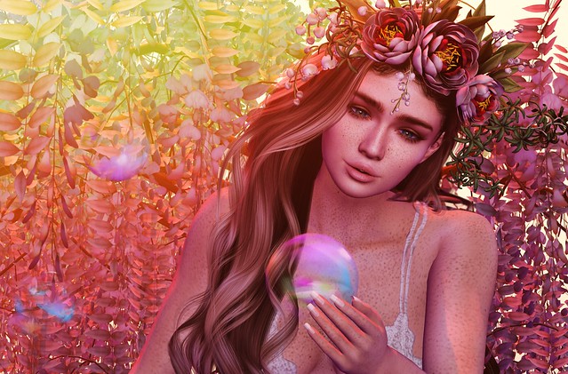 🌷 Pryce: Bloom of Spring Campaign 🌷