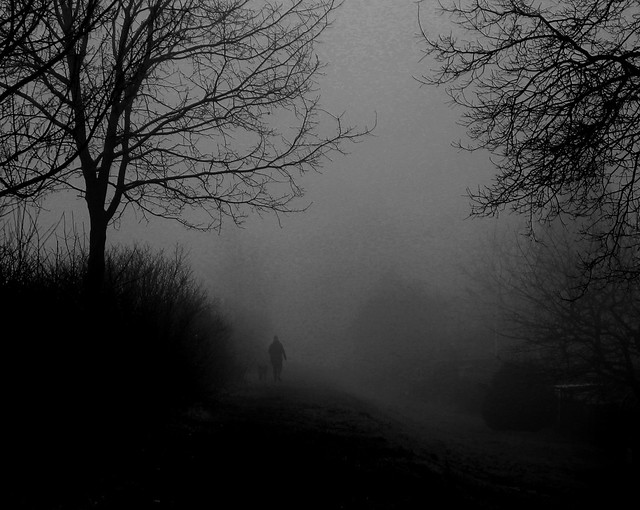 The wanderer in the fog