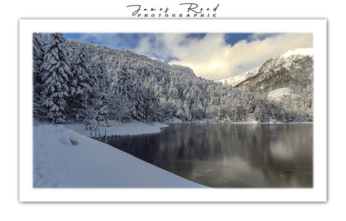 lac lake neige snow hiver winter froid cold paysage landscape nature alsace hautrhin vosges forêt grandest arbres sapins 68 88 france