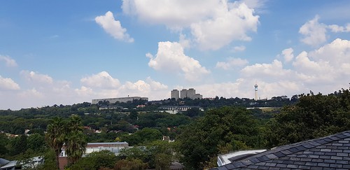 westcliff johannesburg southafrica south africa views view green greenery tree trees hillbrowtower